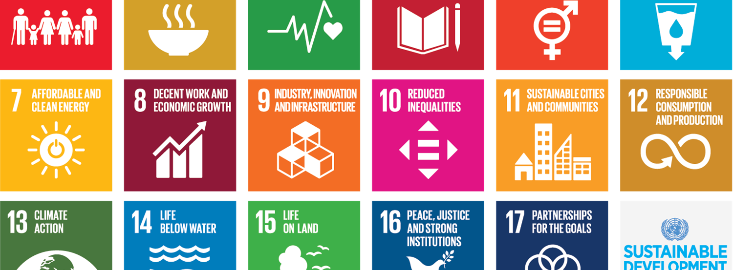 image of UN goals
